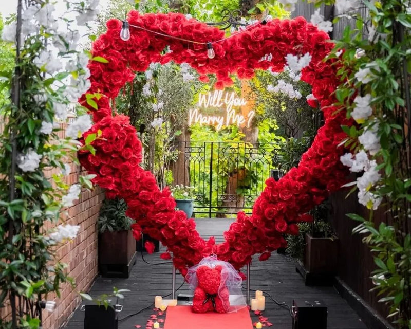 Monty & Surina's proposal